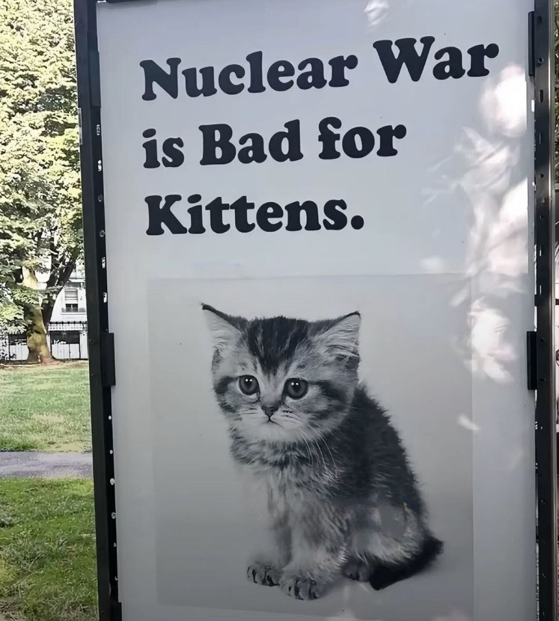 Nuclear war is bad for kittens